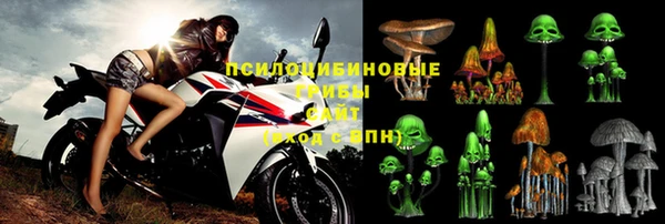 spice Апатиты