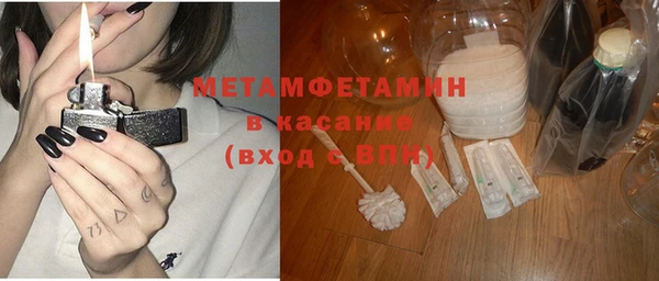сатива Коряжма