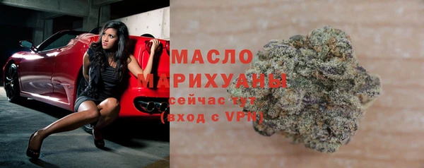 сатива Коряжма
