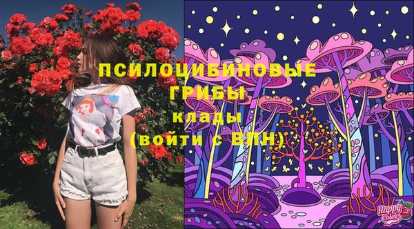 мет Корсаков