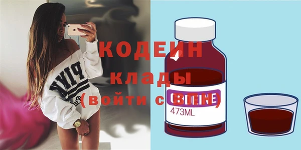 сатива Коряжма