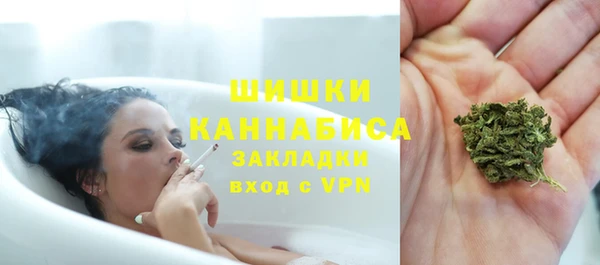 сатива Коряжма