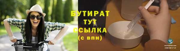 сатива Коряжма