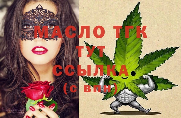 сатива Коряжма