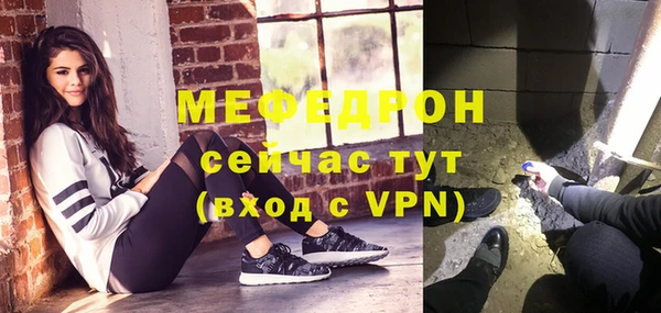 сатива Коряжма