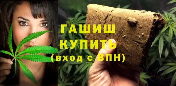 сатива Коряжма